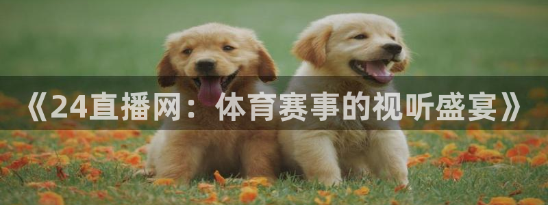 劲爆体育f1直播：《24直播网：体育赛事的视听盛宴》