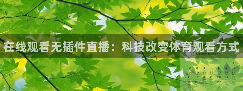 劲爆体育直播：在线观看无插件直播：科技改变体育观看方式