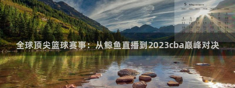 劲爆体育nba在线直播免费观看：全球顶尖篮球赛事：从鲸鱼直播到2023cba巅峰对决