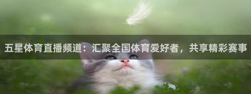 劲爆体育台直播：五星体育直播频道：汇聚全国体育爱好者，共享精彩赛事