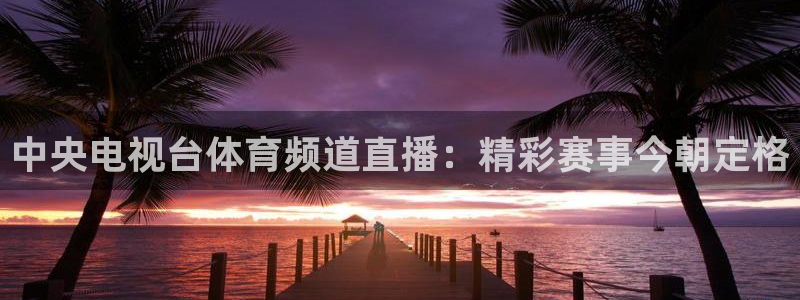 劲爆体育频道在线直播：中央电视台体育频道直播：精彩赛事今朝定格