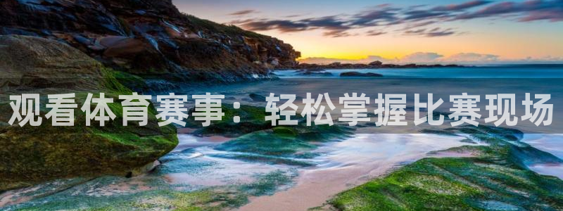 劲爆体育无插件直播：观看体育赛事：轻松掌握比赛现场