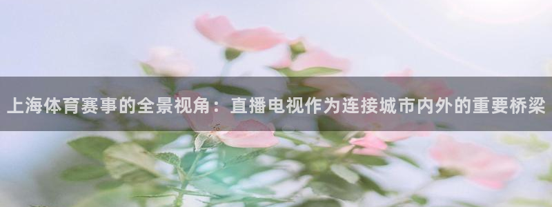 nba劲爆体育在线直播高清：上海体育赛事的全景视角：直播电视作为连接城市内外的重要桥梁