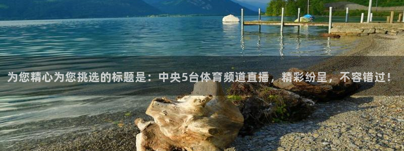 劲爆体育直播免费观看完整版：为您精心为您挑选的标题是：中央5台体育频道直播，精彩纷呈，不容错过！