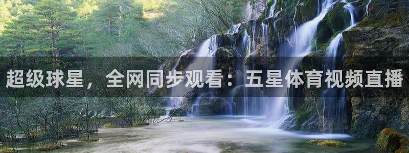 劲爆体育高清直播：超级球星，全网同步观看：五星体育视频直播