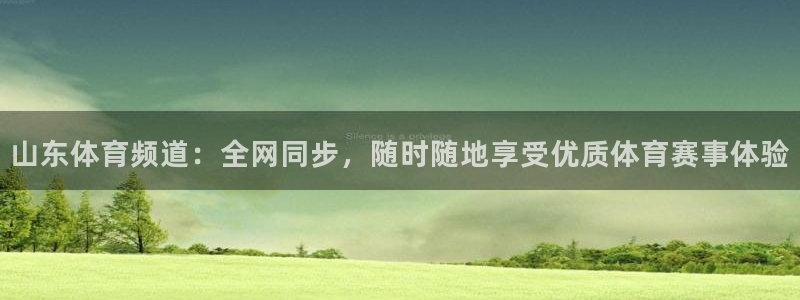 劲爆体育篮球直播：山东体育频道：全网同步，随时随地享受优质体育赛事体验