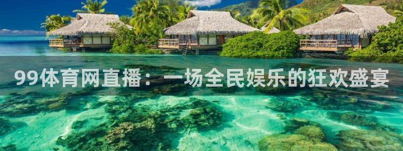 劲爆体育节目表直播：99体育网直播：一场全民娱乐的狂欢盛宴